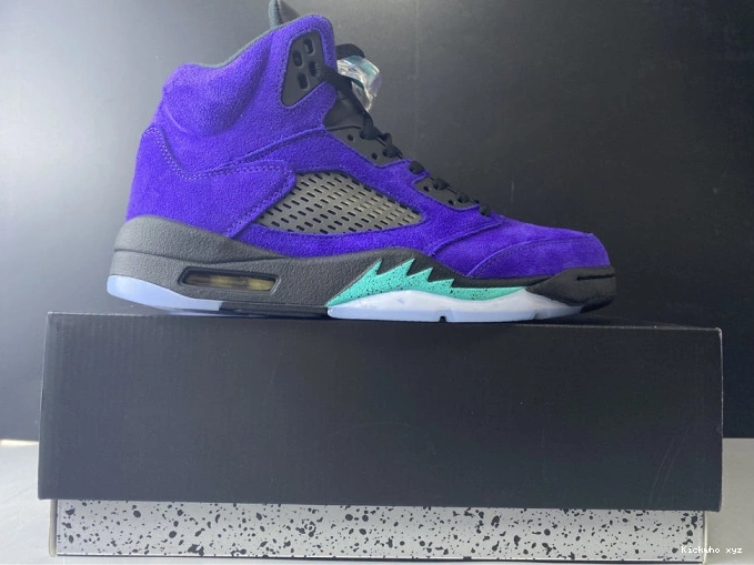 Retro Jordan 5 Air Alternate 136027-500 Grape 0811